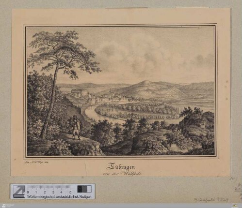 Tübingen von der Westseite