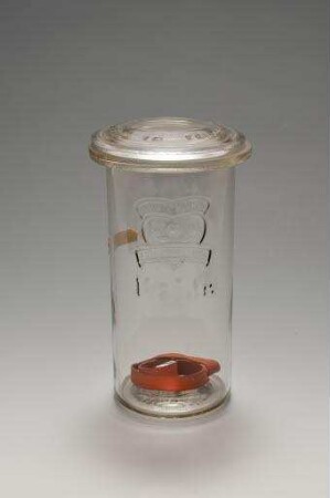 Schutzmarke J. W. Frischhaltung 1 1/3 Ltr., 13A (Einmachglas)
