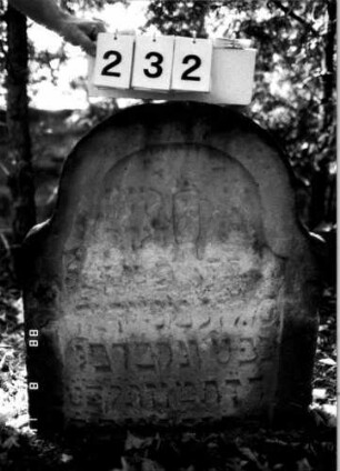 Grabstein 232