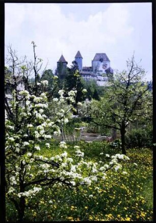 Burgdorf: Burg, Vordergrund Blüten