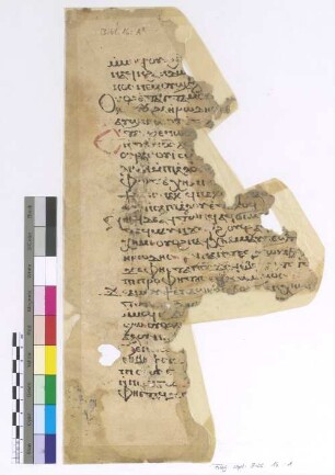 Matt. II, 11- 17