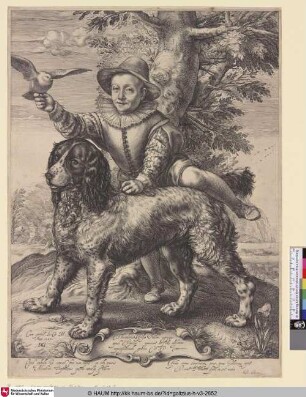 [Porträt des Frederik de Vries, Sohn des Malers Dirck de Vries; Frederik de Vries; Portret van Frederik de Vries; Goltzius Hund]