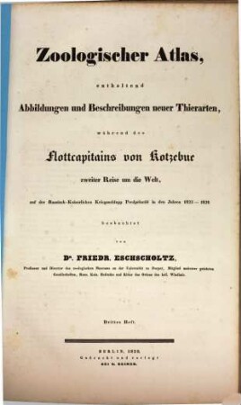 Zoologischer Atlas, enthaltend Abbildungen und Beschreibungen neuer Thierarten : während des Flottcapitains von Kotzebue zweiter Reise um die Welt, auf der Russisch-Kaiserlichen Kriegsschlupp Predpriaetië in den Jahren 1823-1826 beobachtet, 3