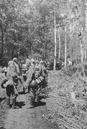 Zweiter Weltkrieg. Frontbilder. Sowjetunion. Troß der deutschen Wehrmacht mit Pferdefuhrwerken in einem Wald