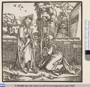 Christus erscheint Maria Magalena als Gärtner - Noli me tangere