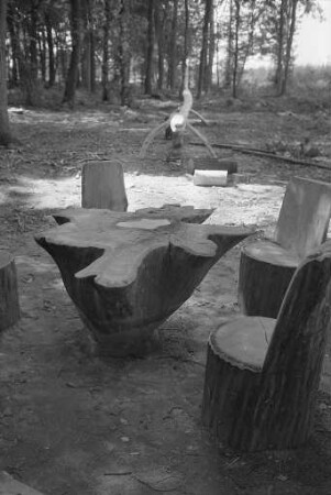 Anlegung eines Waldspielplatzes im Waldpark Vokkenau bei Hagsfeld