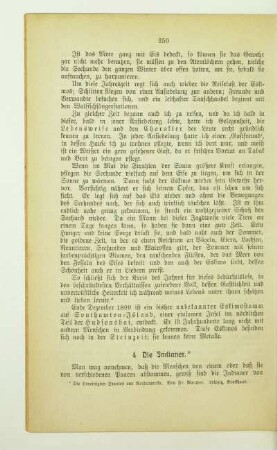 4. Die Indianer