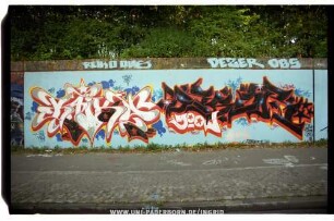 RAiKO BaD DESER gooN