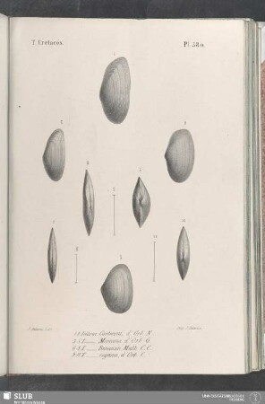 Pl. 380