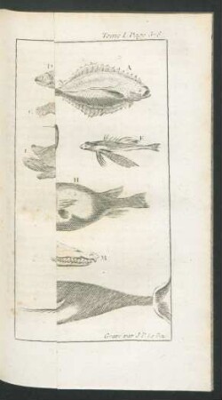 Tafel: Les Poissons et les Amphibies.