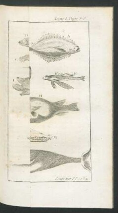 Tafel: Les Poissons et les Amphibies.