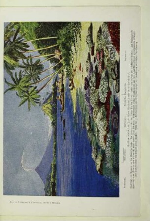 Vulkaninseln des Indischen Archipels mit Korallenstrand
