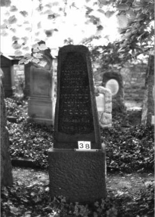 Grabstein 38 (Index: 100081725) Material: Granit Zustand: gut Maße HxBxT: 167x54x28 cm Beschreibung: stark konische Stele, Sockel, Segmentbogenabschluß: Grabstein 38 (2)