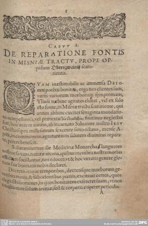 Caput I. De Reparatione Fontis in Misniae tractu, prope oppidum Oberzweinitz facturientis.
