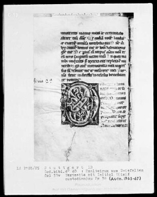 Psalterium mit Kalender — Initiale D (ixi custodiam), Folio 31 verso