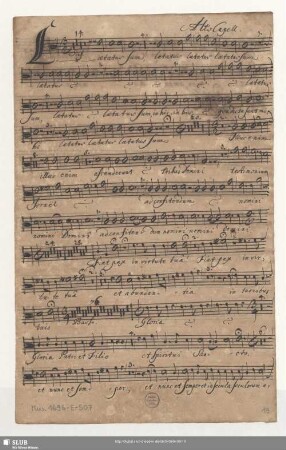 Alto Capell[a].