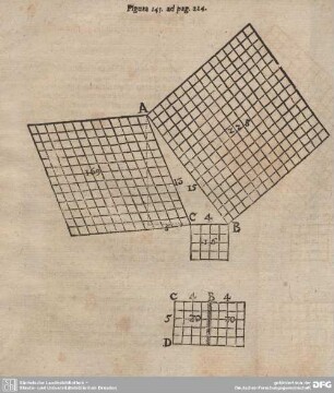 Figura 145. ad pag. 224.