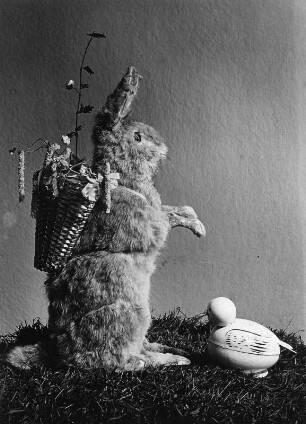 Osterhasenbilder. Sitzender Osterhase mit Kiepe und Vogel