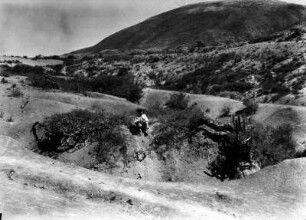 Offene Dornenbuschsteppe bei Candelaria : Ein Junge sitzt zwischen Algarrobo-Büschen und Kakteen vorn rechts und links in der Mitte. Im Hintergrund ein steiler Berghang.