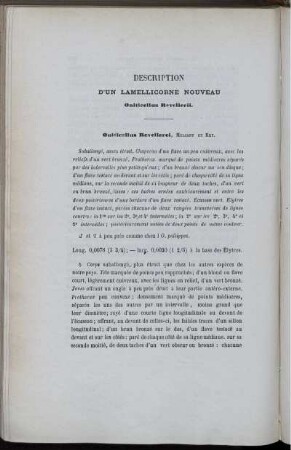 Description D'un Lamellicorne Nouveau Onticellus Reverllerii.