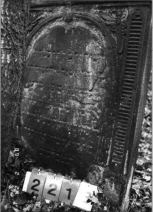 Grabstein 221 (Index: 99752113) Material: Sandstein Zustand: abgeblätt/verwittert mit Textverlust Maße HxBxT: 140x80x13 cm Beschreibung: Stele, in Voluten auslaufender Rundbogenaufsatz, ovales Schriftfeld eingetieft Symbolik: segnende Hände, Ranken, Kartusche, Voluten: Grabstein 221B