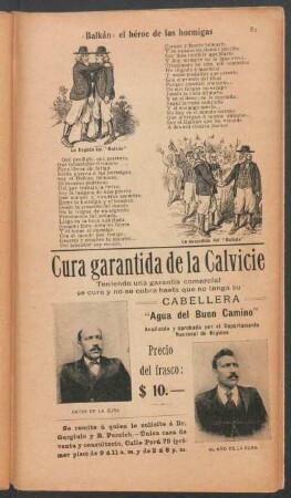 "Balkán" el héroe de las hormigas