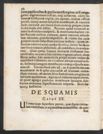 De Squamis. Caput IIX.