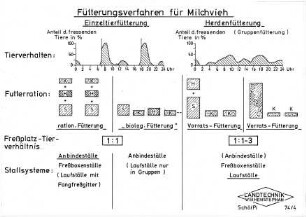 Fütterungsverfahren für Milchvieh