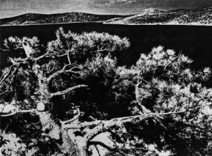 Bucht in Dalmatien, Fotografik, experimentell