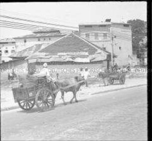 Händler auf Ochsen- und Eselskarren in Mombasa, Kenia