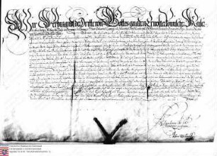 Kaiser Ferdinand III., Römischer Kaiser belehnt Friedrich Wambold mit dem Hof Berkheim (Handschuhsheimer Lehen)