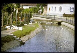 Am Dorfbach