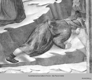 Franziskuslegende : Das Quellwunder