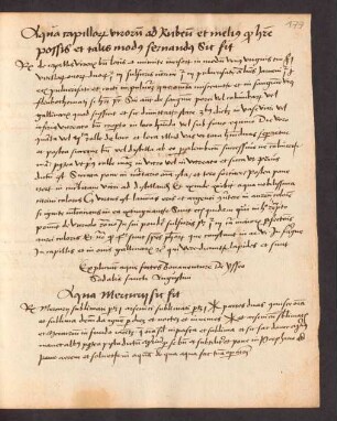 Liber compostellae (Auszug)