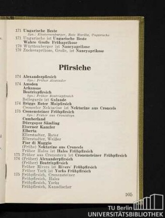 Pfirsiche
