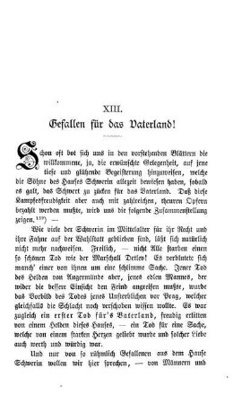 XIII. Gefallen für das Vaterland!