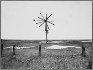 Windrad auf Sylt
