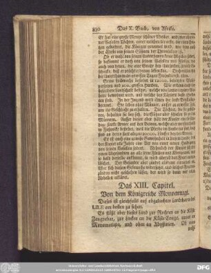 Das XIII. Capitel. Von dem Königreiche Monoemugi.