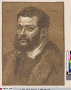 [Bust of a Bearded Man; Bildnis eines bärtigen Mannes]