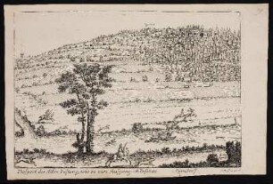 Prospect der Alten Vestung, wie es von Aufgang anzusehen. - Alte Veste, Zirndorf