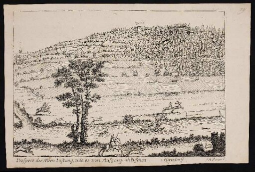 Prospect der Alten Vestung, wie es von Aufgang anzusehen. - Alte Veste, Zirndorf