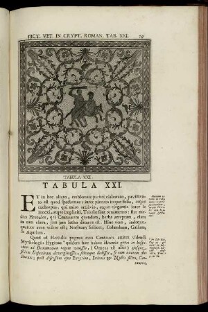 Tabula XXI. - XXIV. [mit Abbildungsbeschreibung]