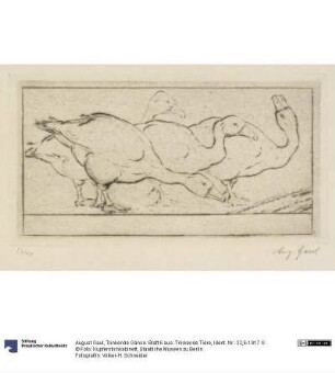 Trinkende Gänse. Blatt 6 aus: Trinkende Tiere