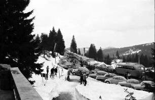 Feldberg: PKW Parkplatz; links Tanne