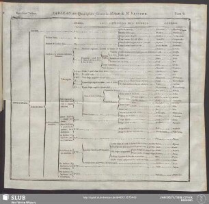 Deuxième Tableau. Tableau des Quadrupédes suivant la Méthode de M. Brisson