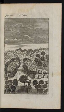V. Lib.