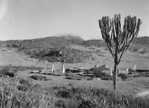 Keren : Friedhof der Stadt Keren