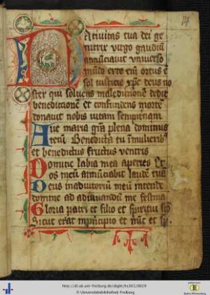 [14r - 50v] Kleines Marianisches Offizium.