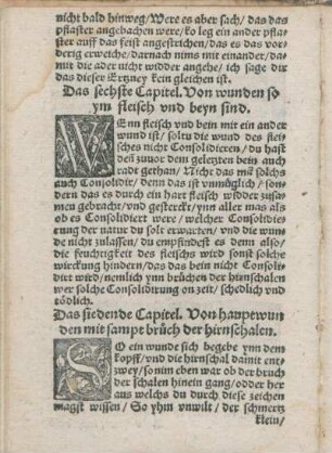 Das sechste Capitel. Von wunden so ym fleisch vnd beyn sind.