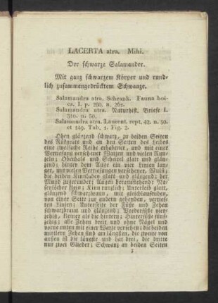 LACERTA atra. Mihi. Der schwarze Salamander.